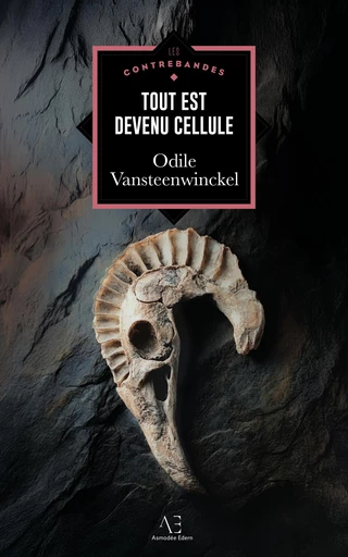 Tout est devenu cellule - Odile Vansteenwinckel - Edern Éditions