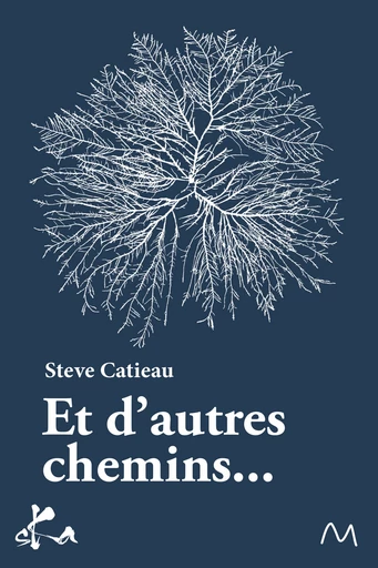 Et d’autres chemins... - Steve Catieau - SKA