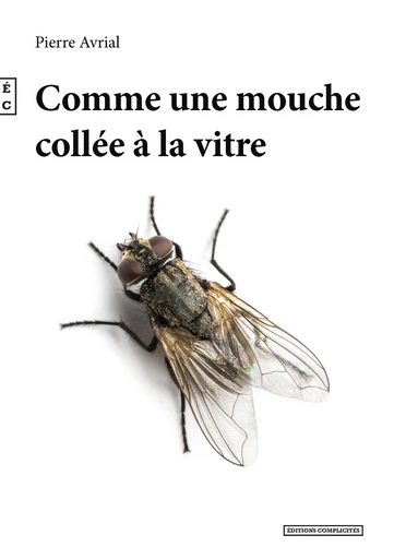 Comme une mouche collée a la vitre - Pierre Avrial - EDITIONS COMPLICITES