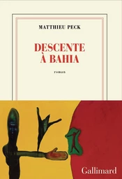 Descente à Bahia