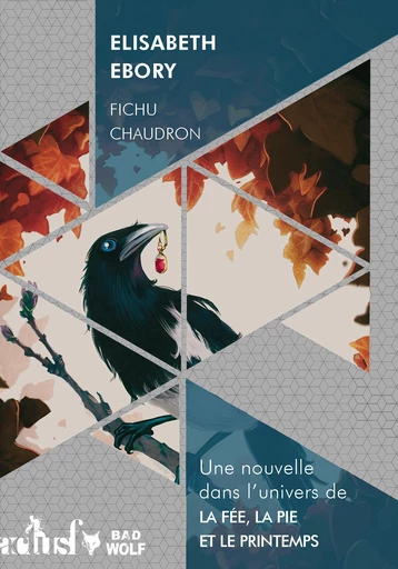 Fichu chaudron - Elisabeth Ebory - Nouvelles Éditions Actu SF