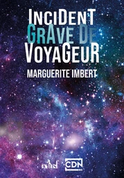 Incident grave de voyageur