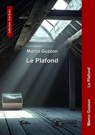 Le plafond - Marco Guzzon - Ex Aequo