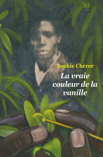 La vraie couleur de la vanille - Sophie Chérer - L'école des loisirs