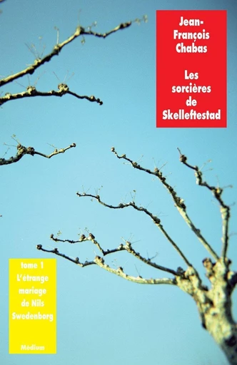 Les sorcières de Skelleftestad, tome 1 - Jean-François Chabas - L'école des loisirs