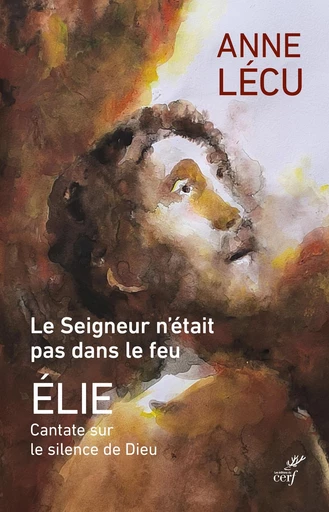 Le seigneur n'était pas dans le feu -  LECU ANNE - Editions du Cerf