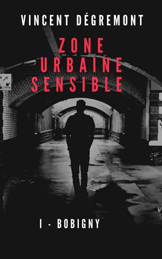 Zone urbaine sensible - Vincent Dégremont - Librinova