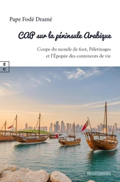 Cap sur la péninsule Arabique