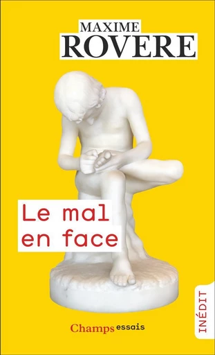 Le mal en face - Maxime Rovere - Flammarion