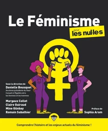 Le Féminisme pour les Nul.le.s, grand format, 2e éd.