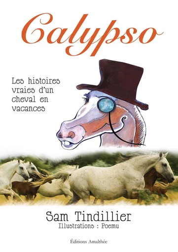 Calypso – Les histoires vraies d'un cheval en vacances - Sam TINDILLIER - Éditions Amalthée