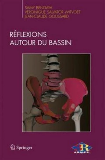 Réflexions autour du bassin - Samy BENDAYA, Véronique SALVATOR-WITVOET, BENDAYA Samy,  Collectif - Espaces et signes