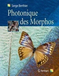 Photonique des Morphos