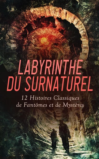 Labyrinthe du Surnaturel : 12 Histoires Classiques de Fantômes et de Mystères - Guy De Maupassant, Edgar Allan Poe, Jules Verne, Jacques Cazotte, Auguste de Villiers de l'Isle-Adam, Jules Claretie, Claudius Ferrand, Gaston Leroux, Arthur Bernède, Ann Ward Radcliffe, Gustave Flaubert - Éditions Omnibus Classiques