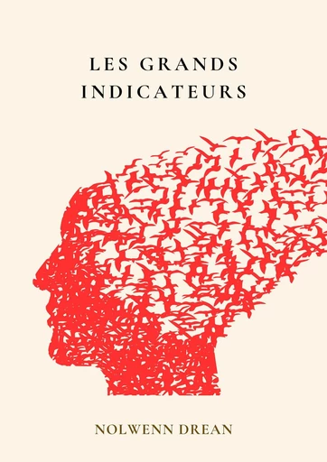 Les Grands Indicateurs - Nolwenn Drean - Librinova