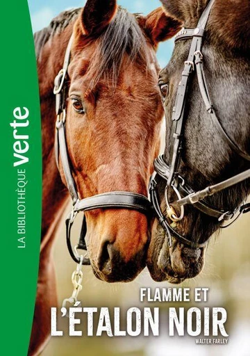 L'Etalon noir NED 17 - Flamme et l'Etalon noir - Walter Farley - Hachette Jeunesse