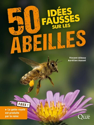 50 idées fausses sur les abeilles - Vincent Albouy, Aurélien Ausset - Quae