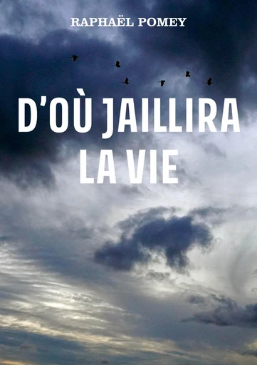 D’où jaillira la vie - Raphaël Pomey - Publishroom